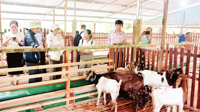 Giải pháp chăn nuôi thích ứng biến đổi khí hậu kết hợp du lịch sinh thái