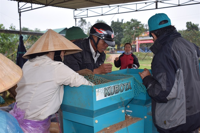 Gạo hữu cơ Phong Điền