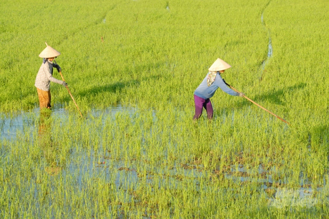 Bộ trưởng NN&PTNT Lê Minh Hoan