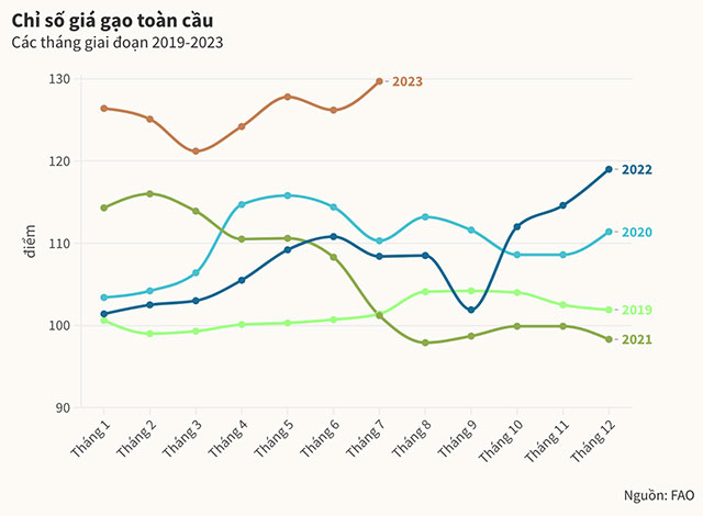 Biểu đồ giá gạo