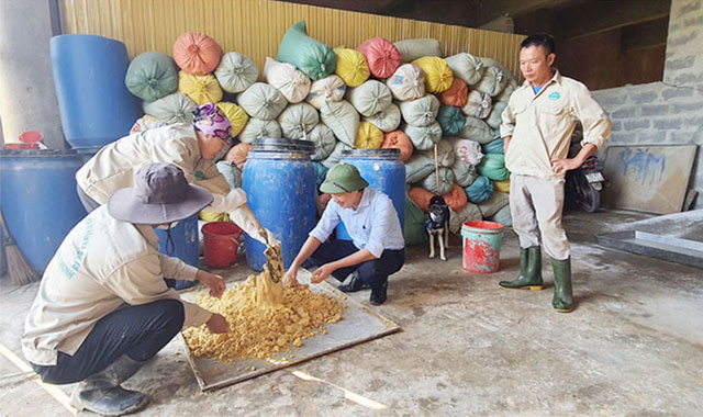 Nuôi lợn sinh học