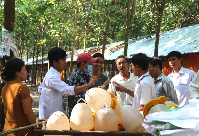 Mô hình chăn nuôi an toàn