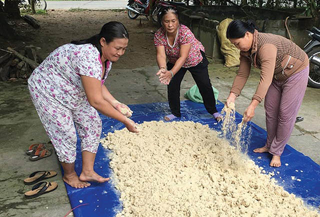 Ủ thức ăn chăn nuôi bằng men vi sinh