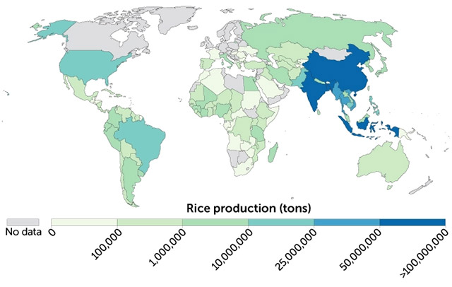 Biến đổi khí hậu