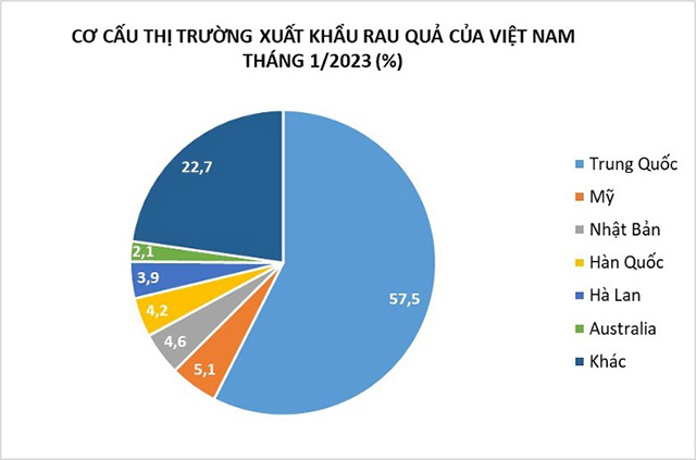 Cơ cấu thị trường xuất khẩu