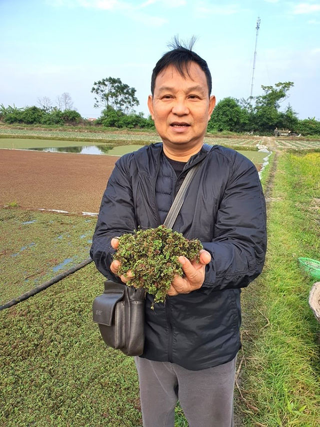 TS Phạm Gia Minh