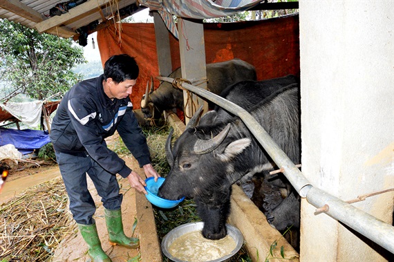 Nông sản Việt Nam 2019