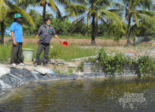 Sản xuất nông nghiệp 2022