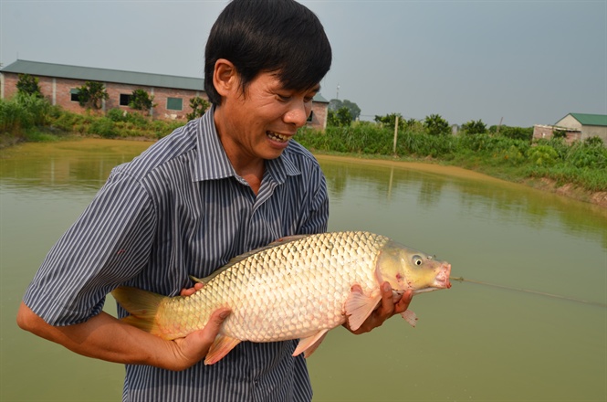 Kiểm tra thuỷ sản mùa nóng