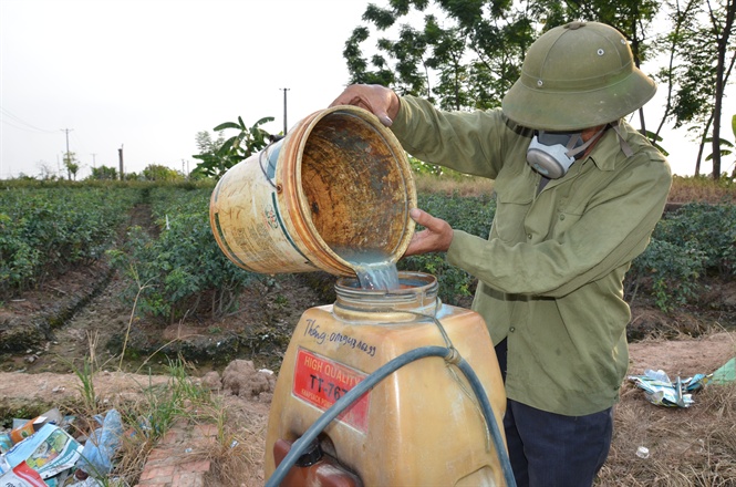 Thuốc bảo vệ thực vật