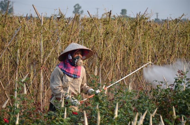 Thuốc bảo vệ thực vật