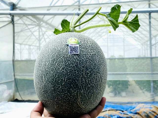 Nông nghiệp công nghệ cao