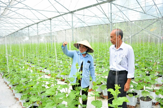 Nông nghiệp công nghệ cao
