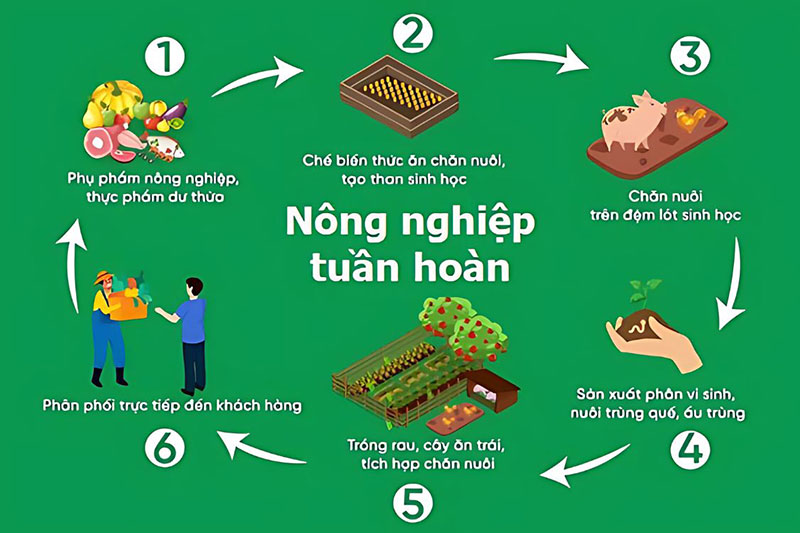 Chăn nuôi tuần hoàn