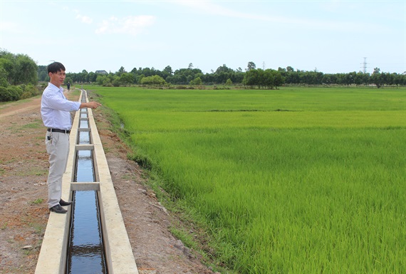 Gio Linh trúng mùa Đông Xuân