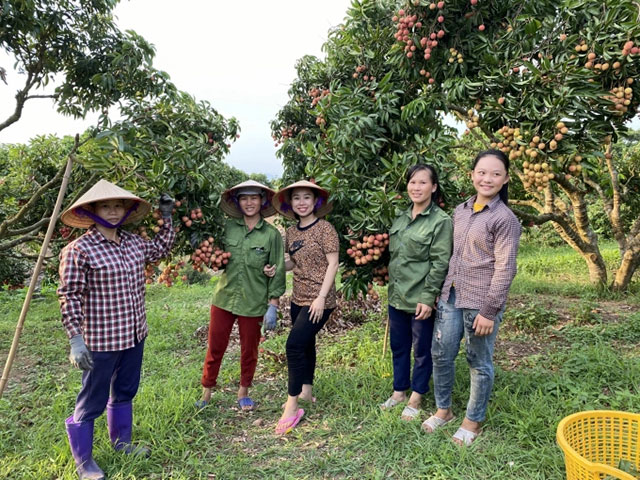 Export fruits