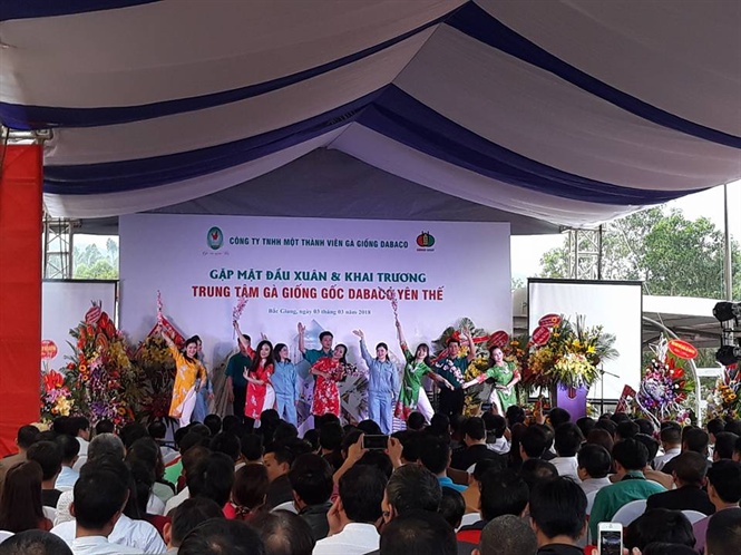 Dabaco Yên Thế - Bắc Giang