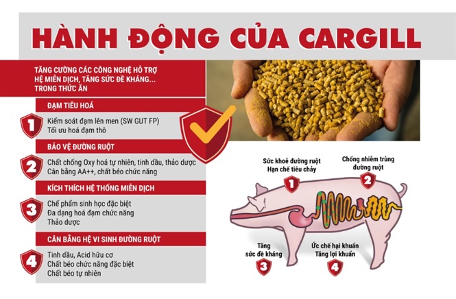 Phương pháp phòng chống dịch tả lợn Châu Phi