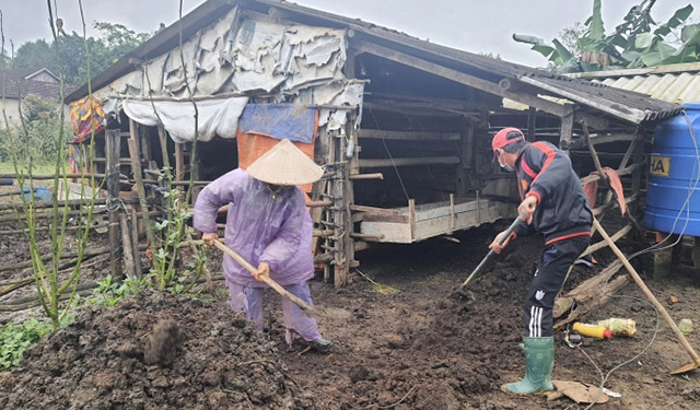 Phòng chống rét, bệnh cho gia súc