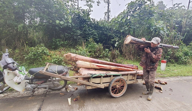 Phòng chống rét, bệnh cho gia súc