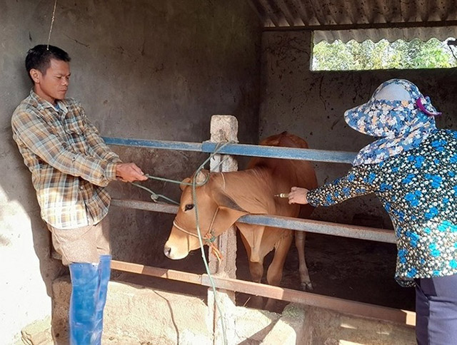 Tiêm phòng vật nuôi