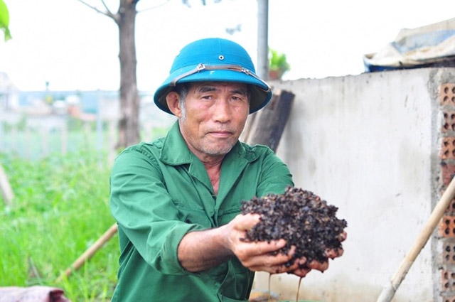 Nông nghiệp hữu cơ tuần hoàn