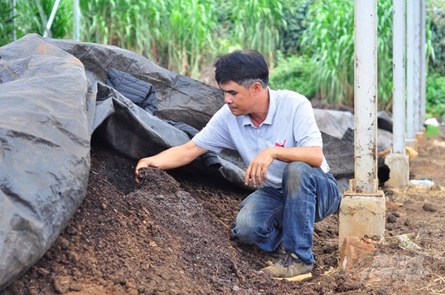 Nông nghiệp hữu cơ tuần hoàn