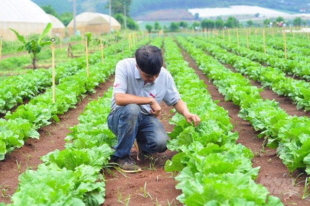 Nông nghiệp hữu cơ tuần hoàn