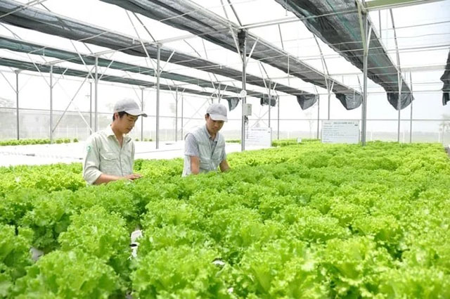 Vietnam Australia Agriculture Business
