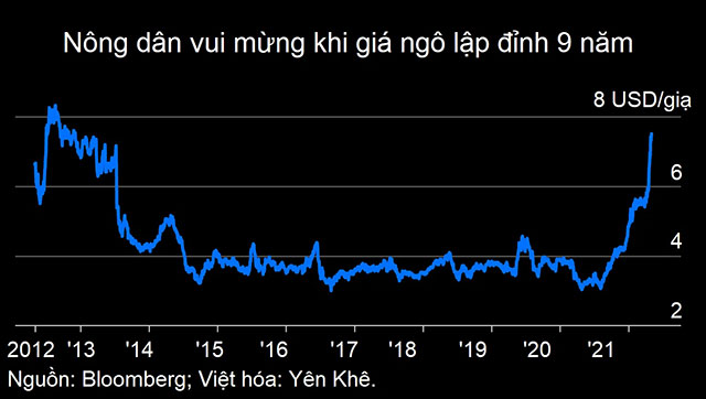 Giá ngô tăng cao nhất trong 9 năm.