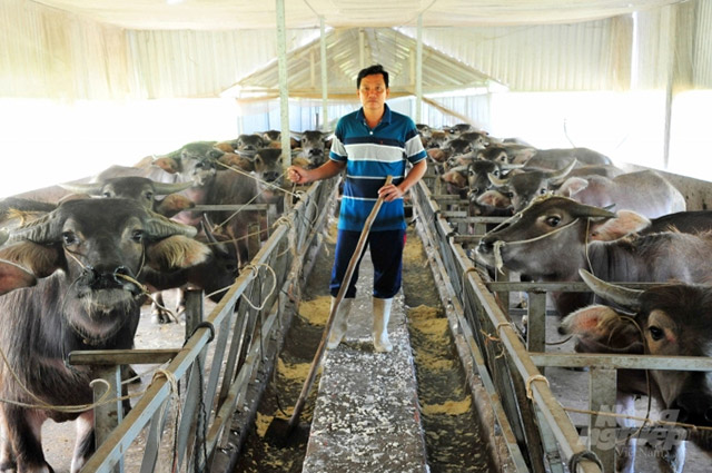 Chăn nuôi an toàn sinh học