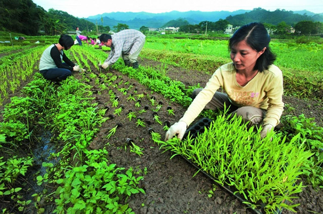 Nông nghiệp tuần hoàn