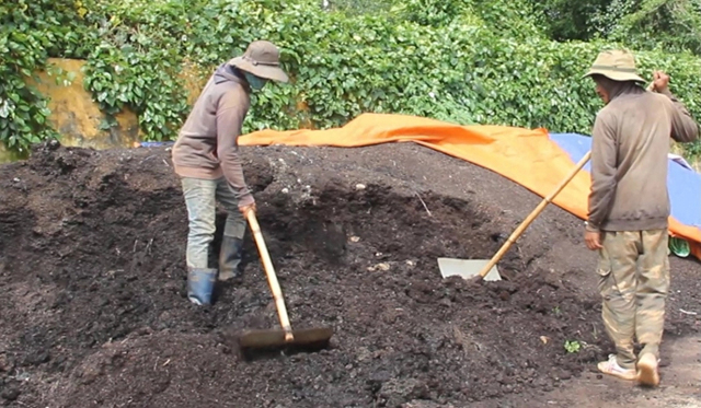 Sử dụng phân bón đúng loại, đúng cách