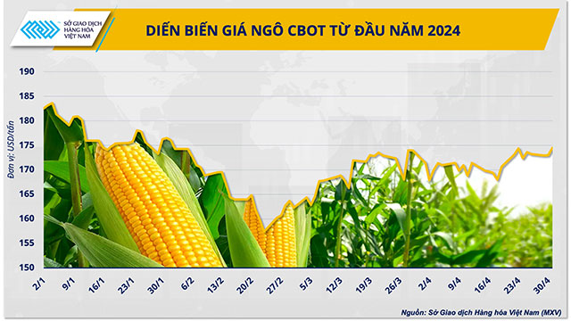 Diễn biến giá ngô