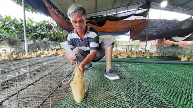 Nông ngiệp xanh, nông nghiệp tuần hoàn