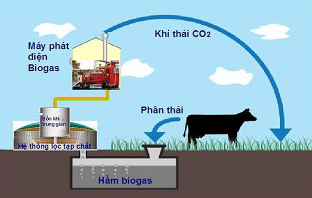 Giảm phát thải trong chăn nuôi