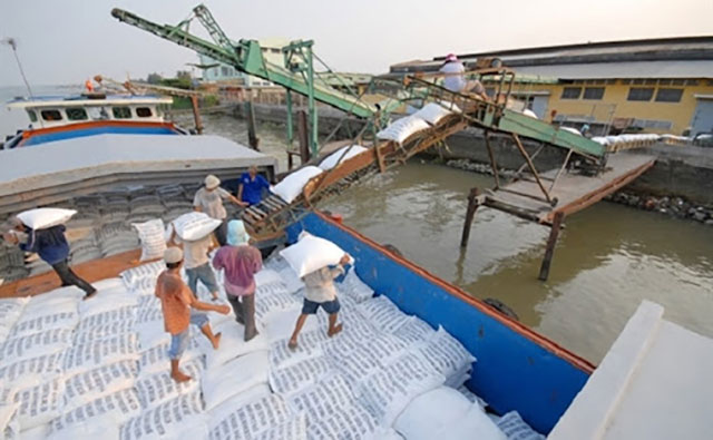 Giá gạo xuất khẩu có thể tăng cao do giá phân bón tăng