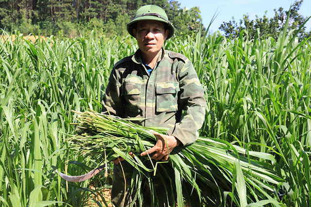 Mô hình nuôi hươu sao ở Hà Tĩnh