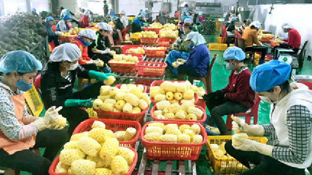 Deep processing to develop the local agricultural products