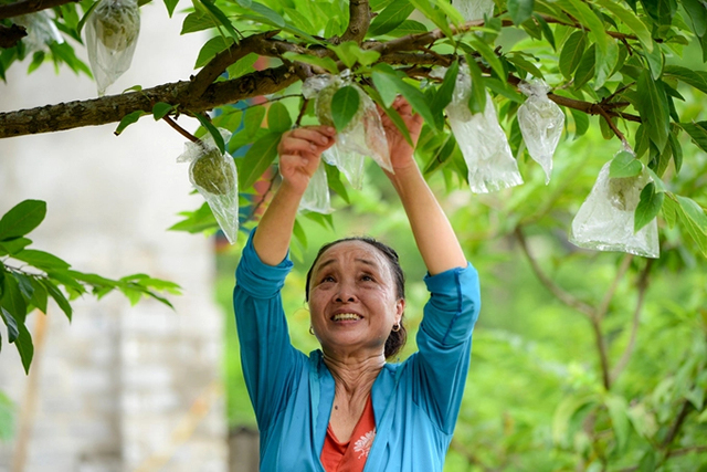 Lạng Sơn