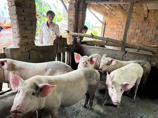 Phòng dịch trong chăn nuôi